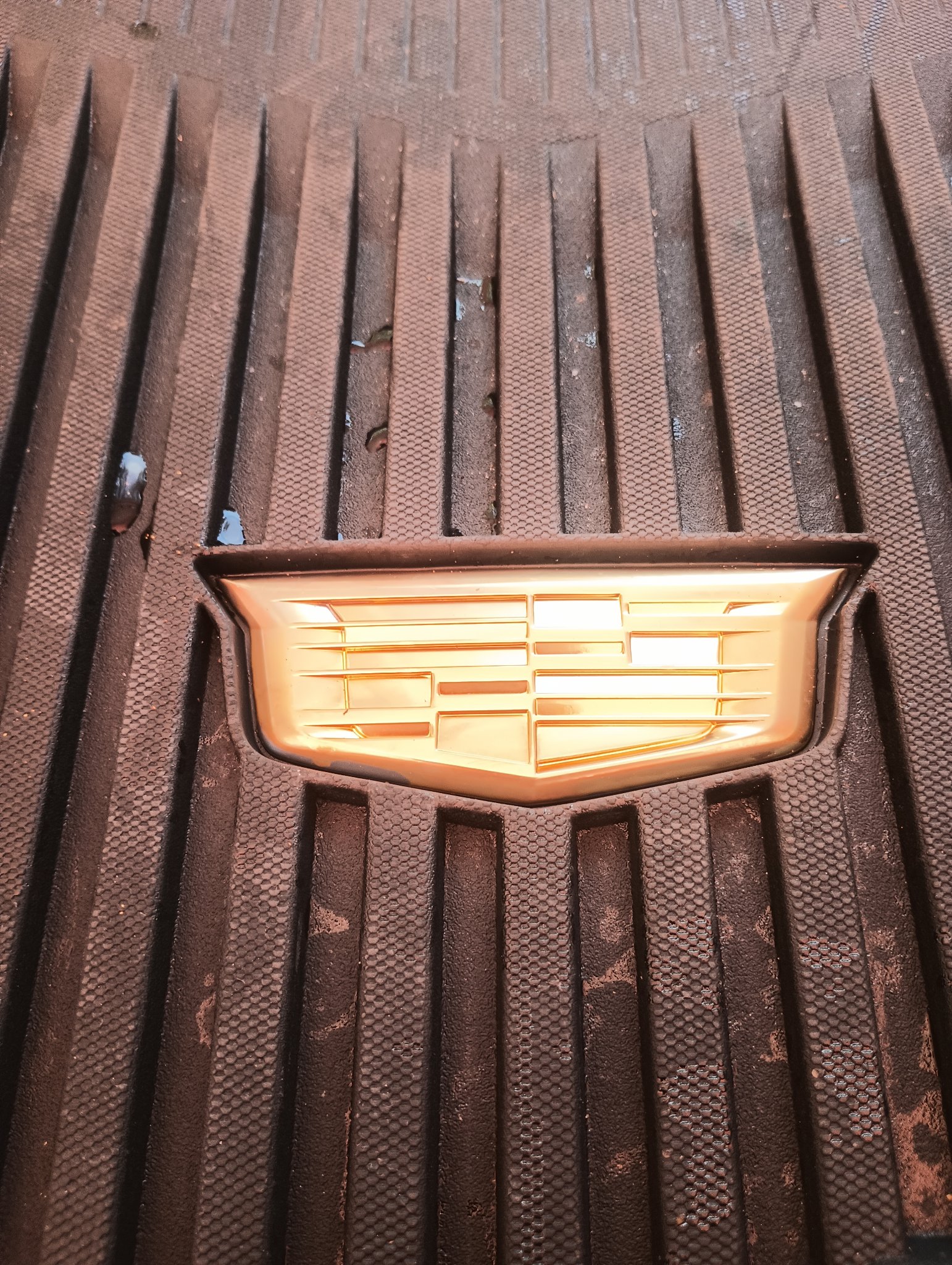 ChromeKarats gold plating work — Cadillac Gold Emblem